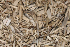 biomass boilers Great Limber